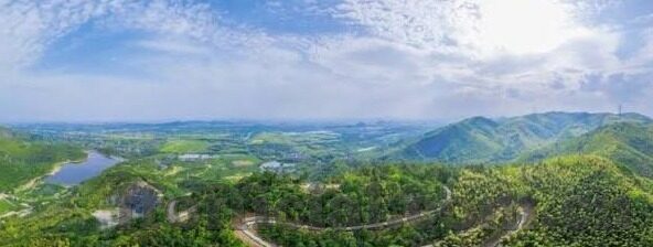 体彩足球比分奖金查询-体彩足球比分奖金全解析，从查询到领取，一文读懂所有流程！