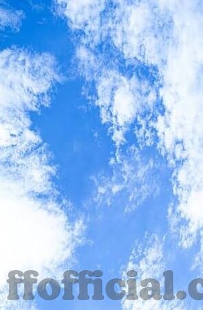 足球竞猜直播比分新浪-足球竞猜新体验，新浪直播比分，实时掌握赛场风云